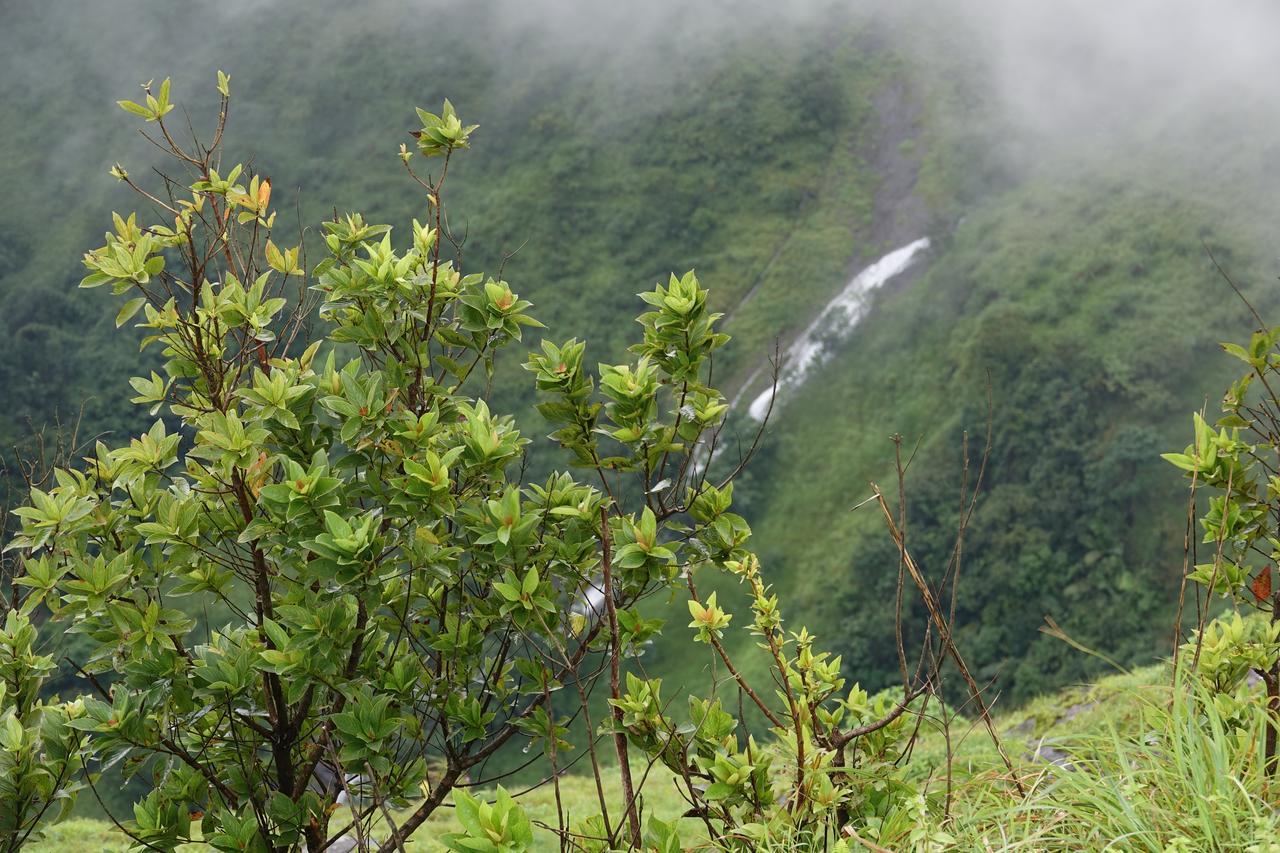 Orion County Hotel Vagamon Exterior photo